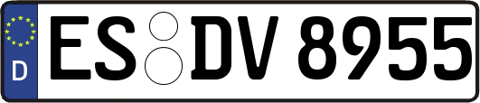 ES-DV8955