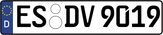ES-DV9019