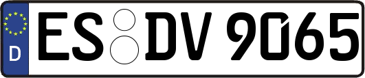 ES-DV9065