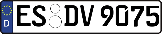 ES-DV9075