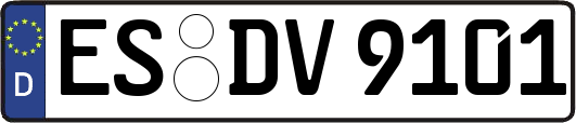 ES-DV9101