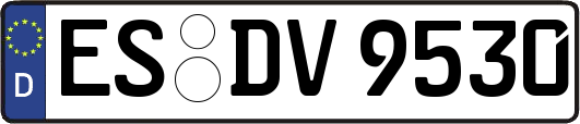 ES-DV9530