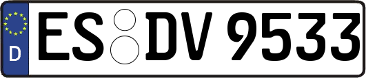 ES-DV9533