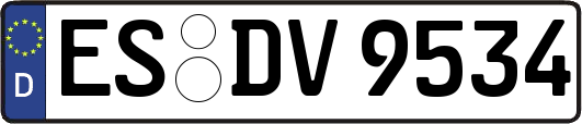 ES-DV9534