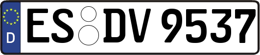 ES-DV9537