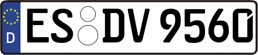 ES-DV9560