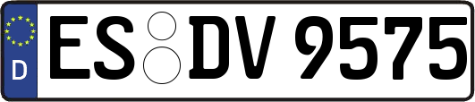ES-DV9575