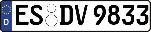 ES-DV9833