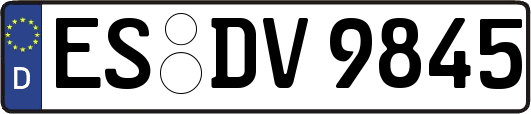 ES-DV9845