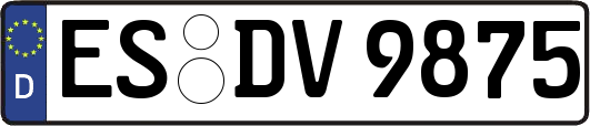 ES-DV9875