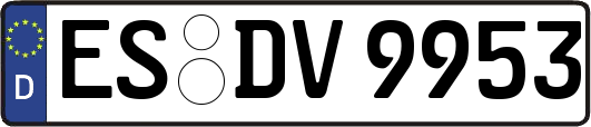 ES-DV9953