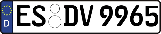 ES-DV9965
