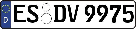ES-DV9975