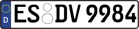 ES-DV9984