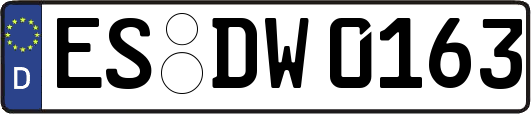 ES-DW0163
