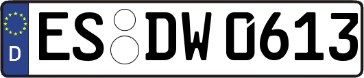 ES-DW0613
