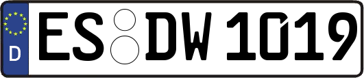 ES-DW1019