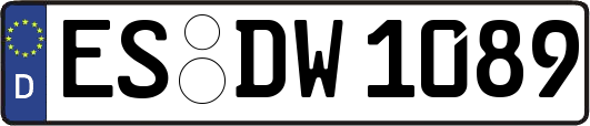 ES-DW1089