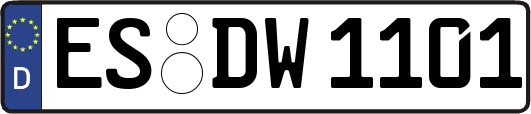 ES-DW1101