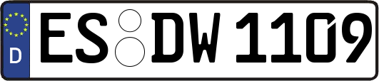 ES-DW1109