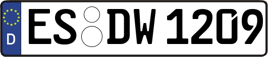 ES-DW1209