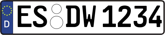 ES-DW1234