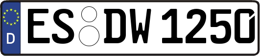 ES-DW1250