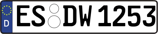 ES-DW1253