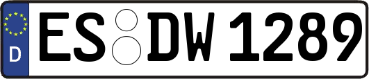 ES-DW1289
