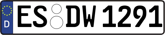 ES-DW1291