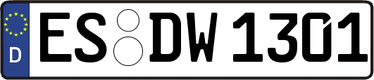 ES-DW1301