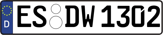 ES-DW1302