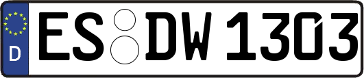 ES-DW1303