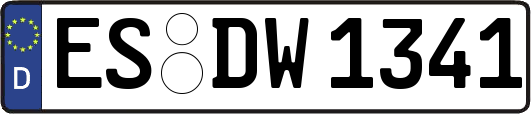 ES-DW1341