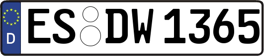 ES-DW1365