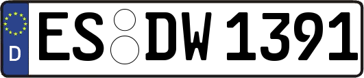 ES-DW1391
