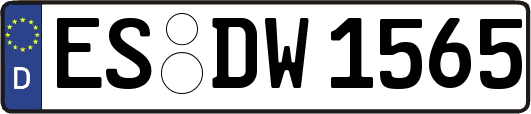 ES-DW1565