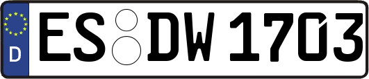 ES-DW1703
