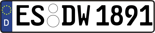 ES-DW1891