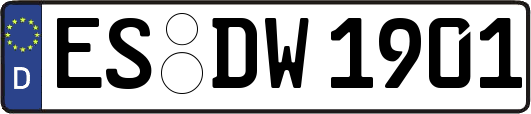 ES-DW1901