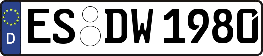 ES-DW1980