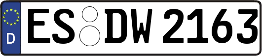ES-DW2163