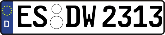 ES-DW2313