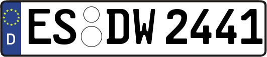 ES-DW2441