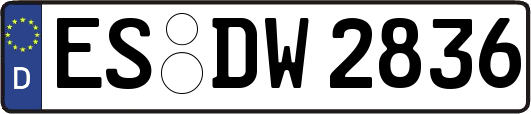ES-DW2836