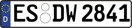 ES-DW2841