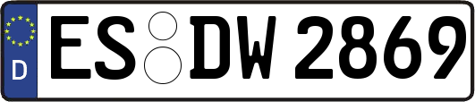 ES-DW2869