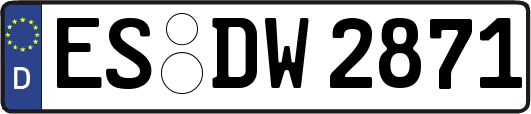 ES-DW2871