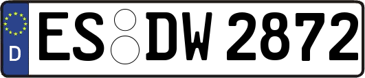 ES-DW2872