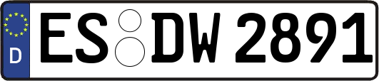 ES-DW2891